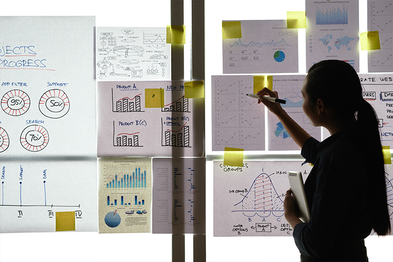Share-Project-Highlights-and-Milestones