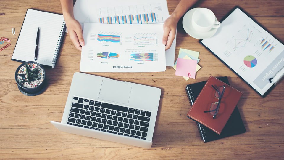 Identify Common Pest Infestations