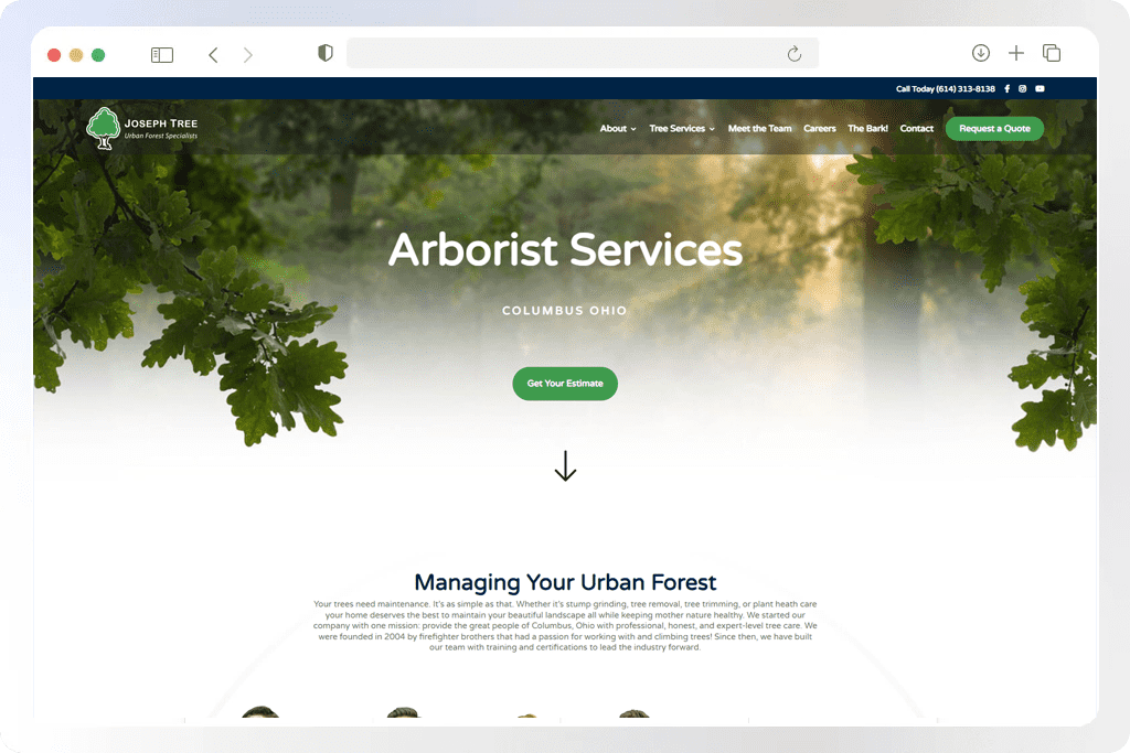 tree service 4
