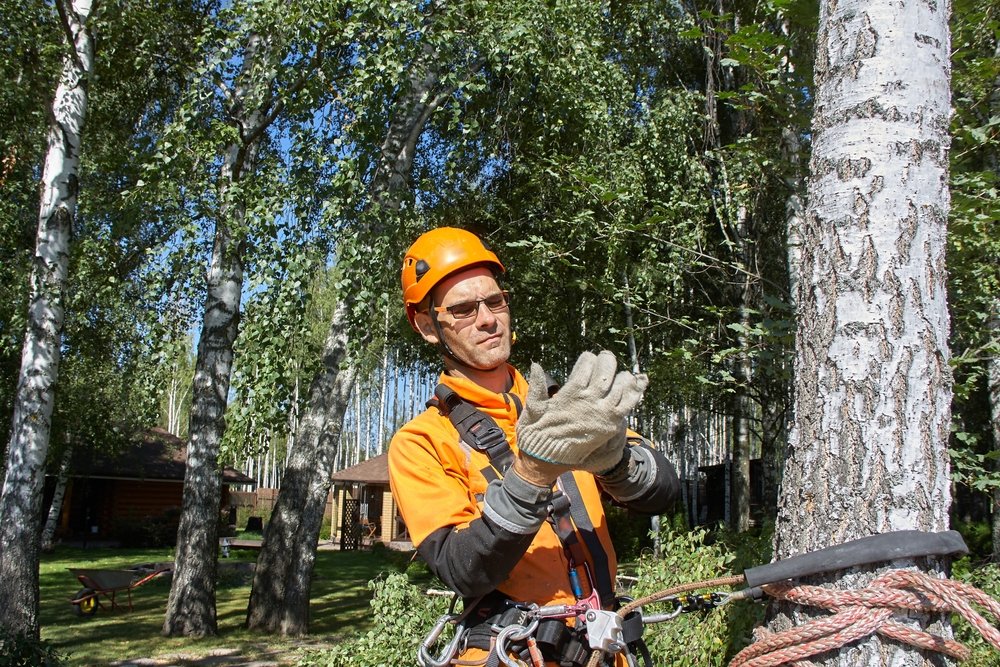 Complete Guide to Marketing for Tree Service Companies